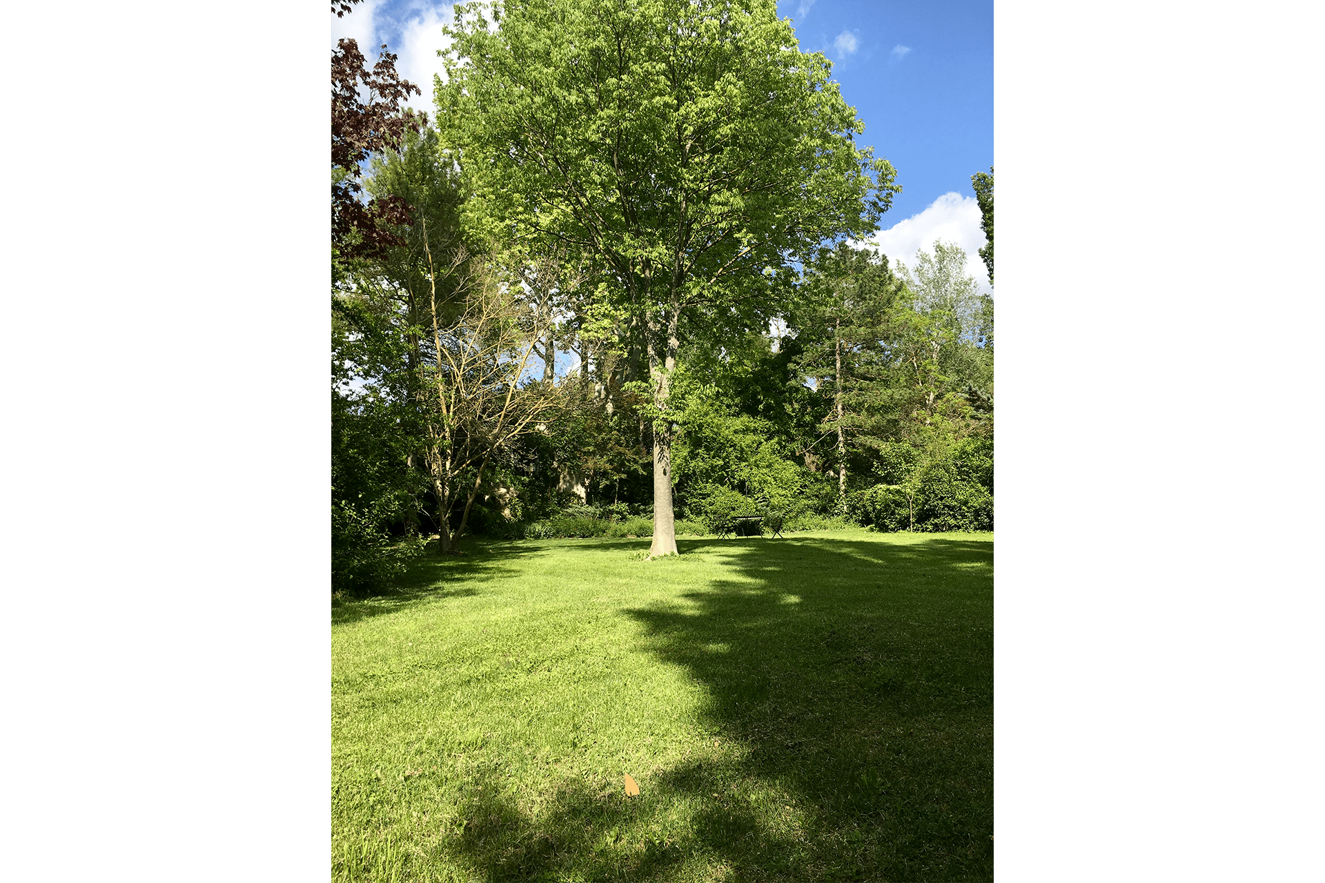 gite provence avec jardin